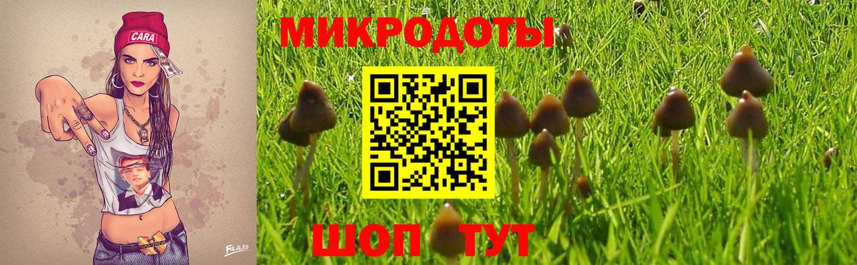 Псилоцибиновые грибы Psilocybine cubensis  Вход с VPN  где продают наркотики  Знаменск 
